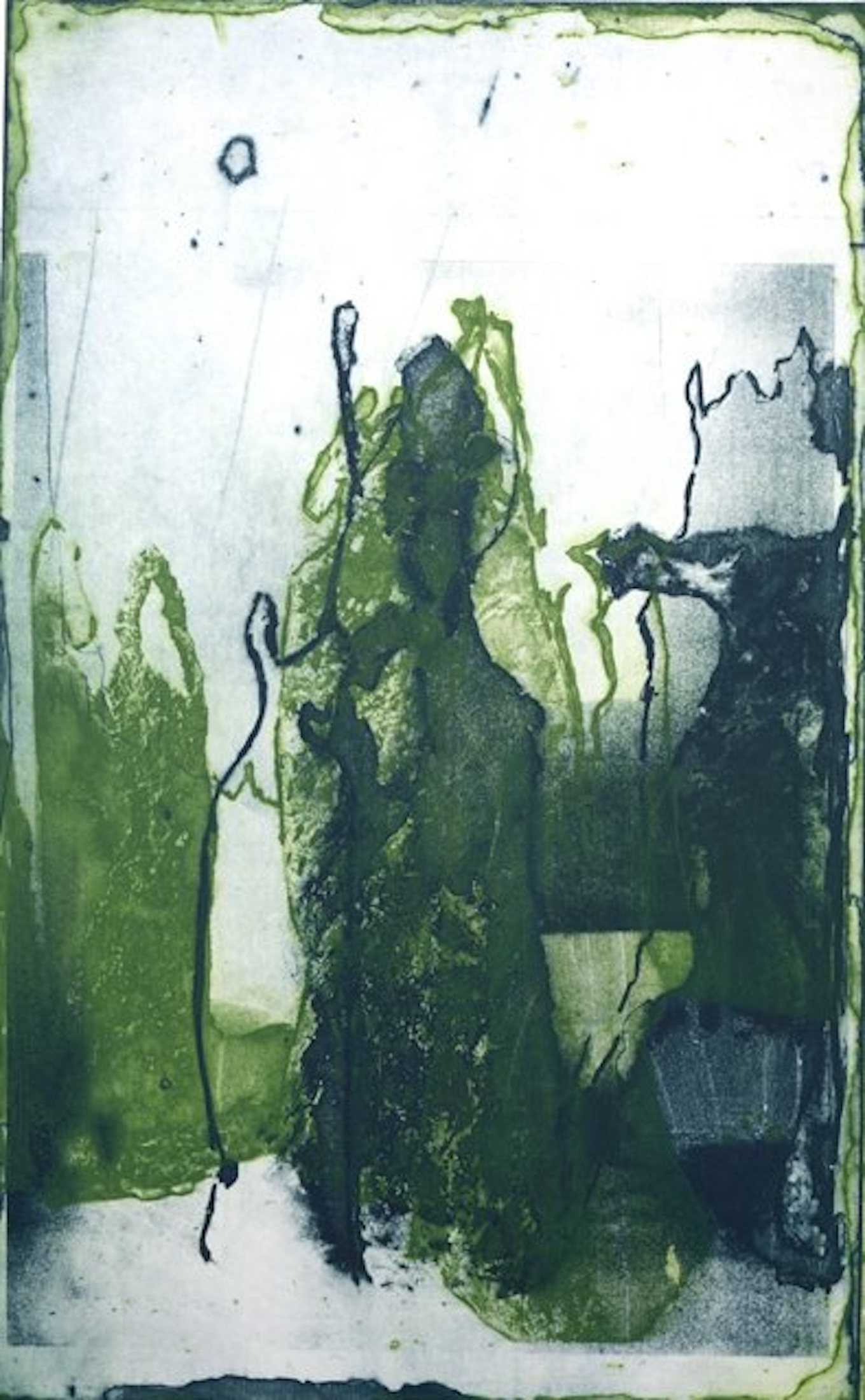 Re-Root exhibition by contemporary Sri Lankan artist Anushiya Sundaralingam at Crescent Arts Centre Belfast - photo 0004