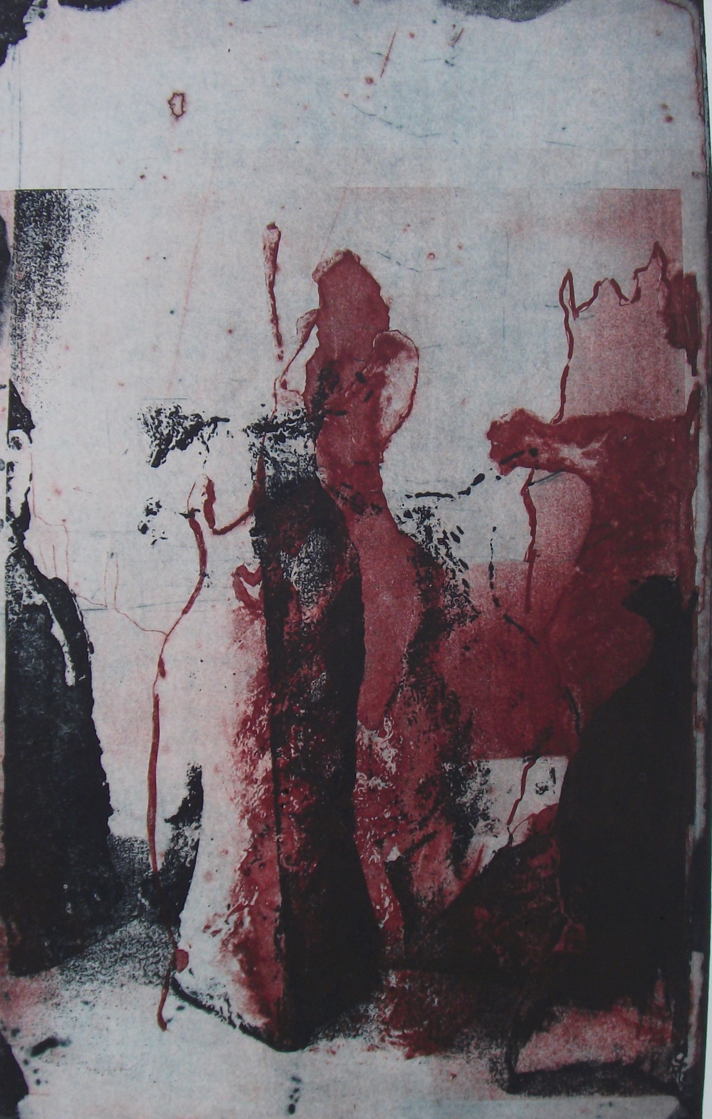 Re-Root exhibition by contemporary Sri Lankan artist Anushiya Sundaralingam at Crescent Arts Centre Belfast - photo 0017