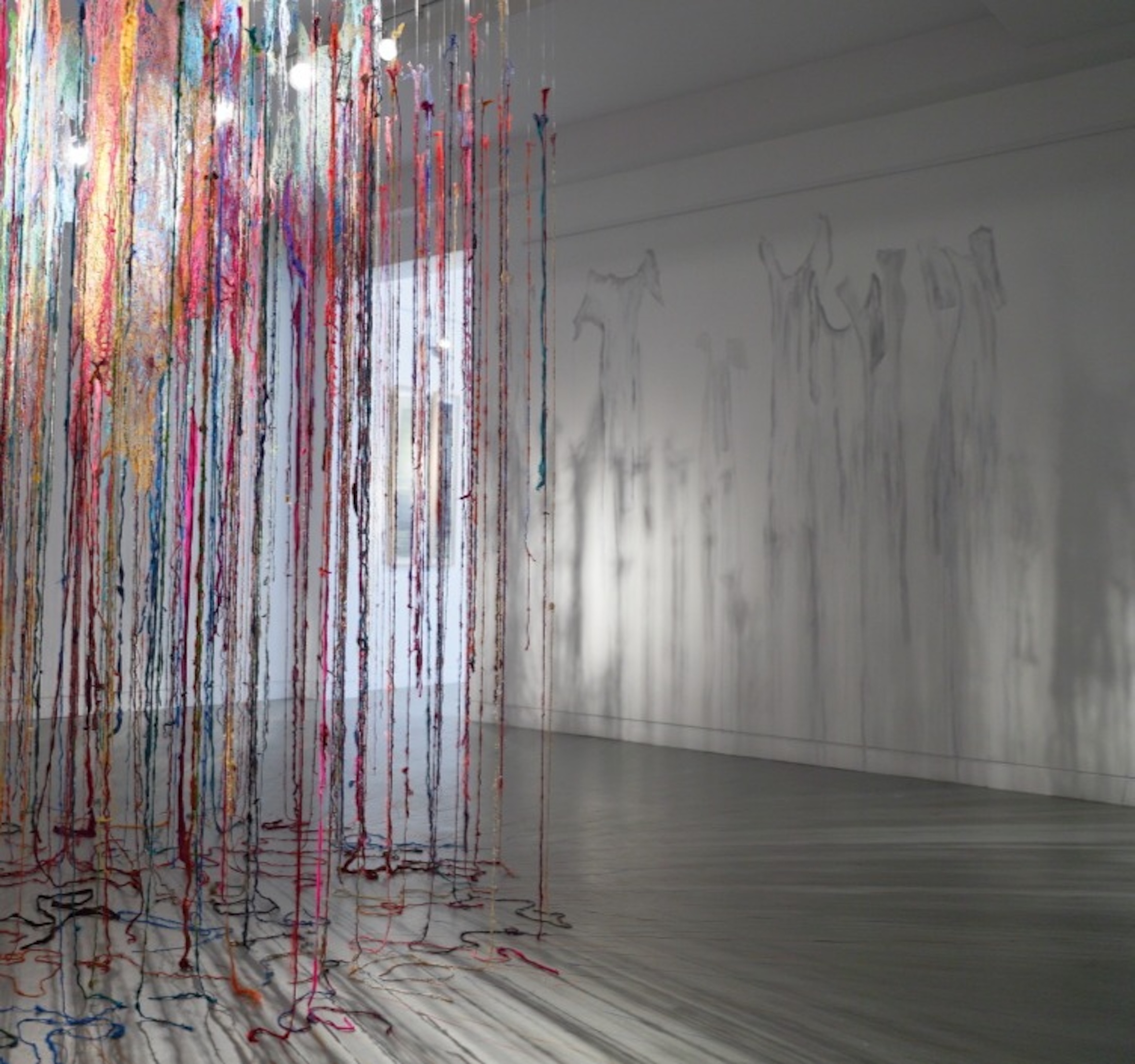 Re-Root exhibition by contemporary Sri Lankan artist Anushiya Sundaralingam at Crescent Arts Centre Belfast - photo 0001