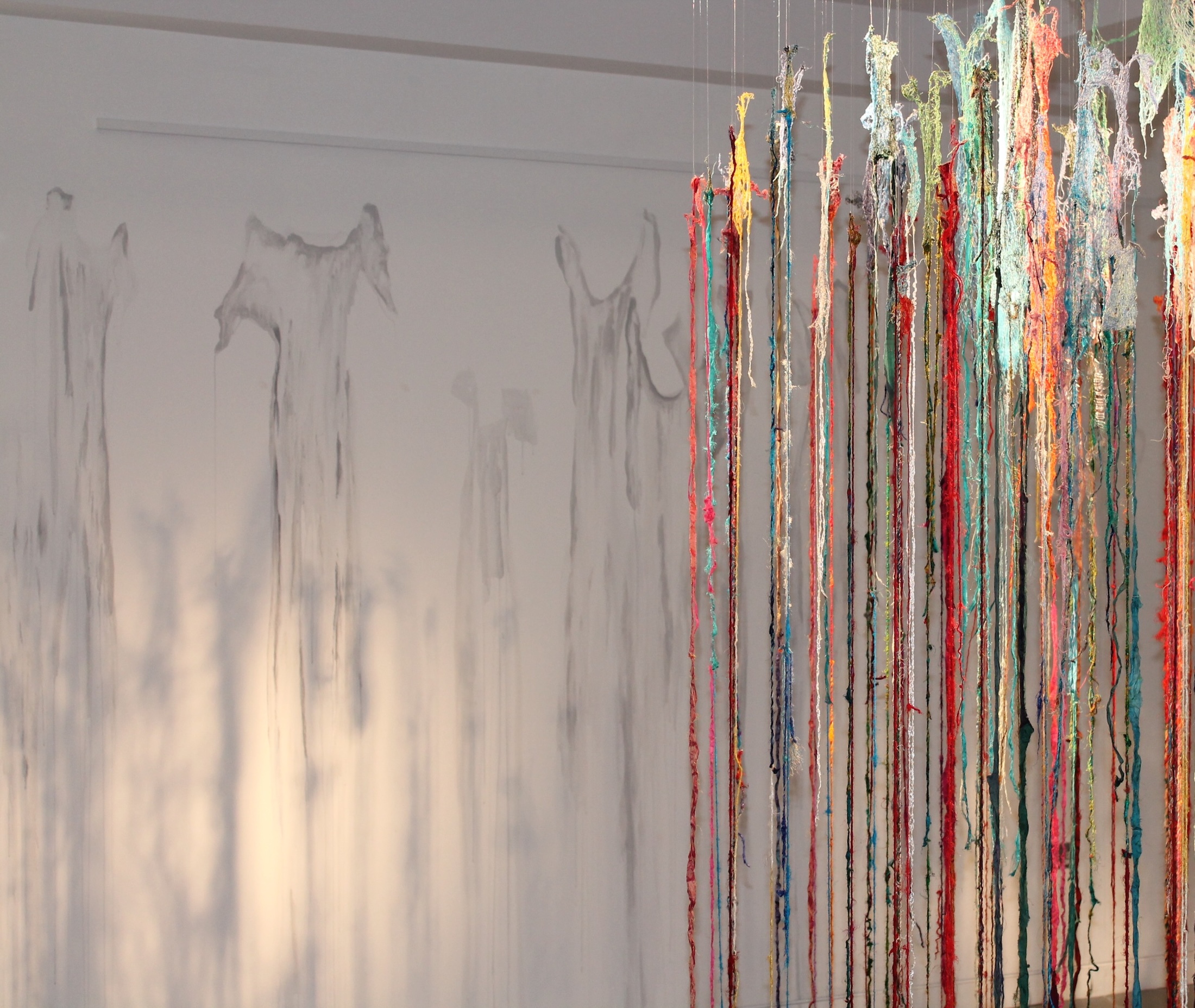 Re-Root exhibition by contemporary Sri Lankan artist Anushiya Sundaralingam at Crescent Arts Centre Belfast - photo 0013