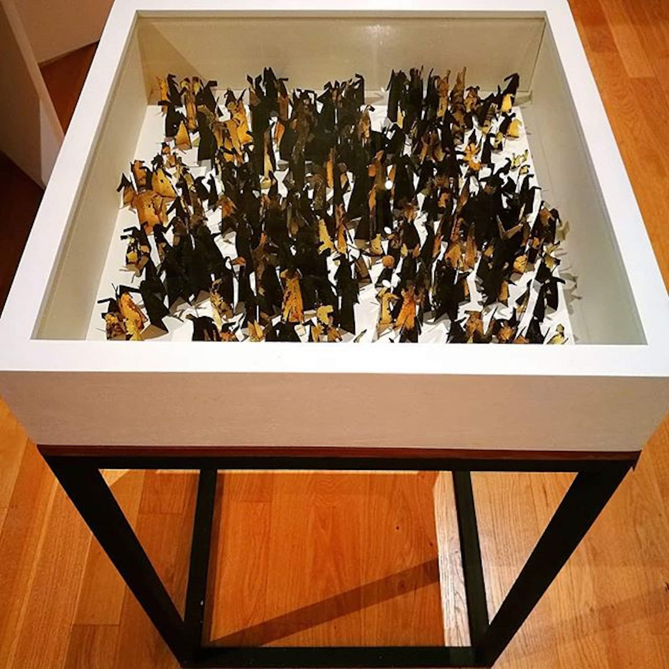 Re-Root exhibition by contemporary Sri Lankan artist Anushiya Sundaralingam at Crescent Arts Centre Belfast - photo 0007