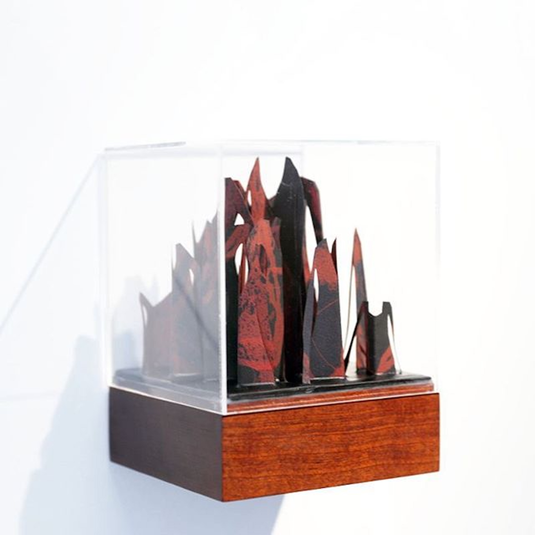Re-Root exhibition by contemporary Sri Lankan artist Anushiya Sundaralingam at Crescent Arts Centre Belfast - photo 0006