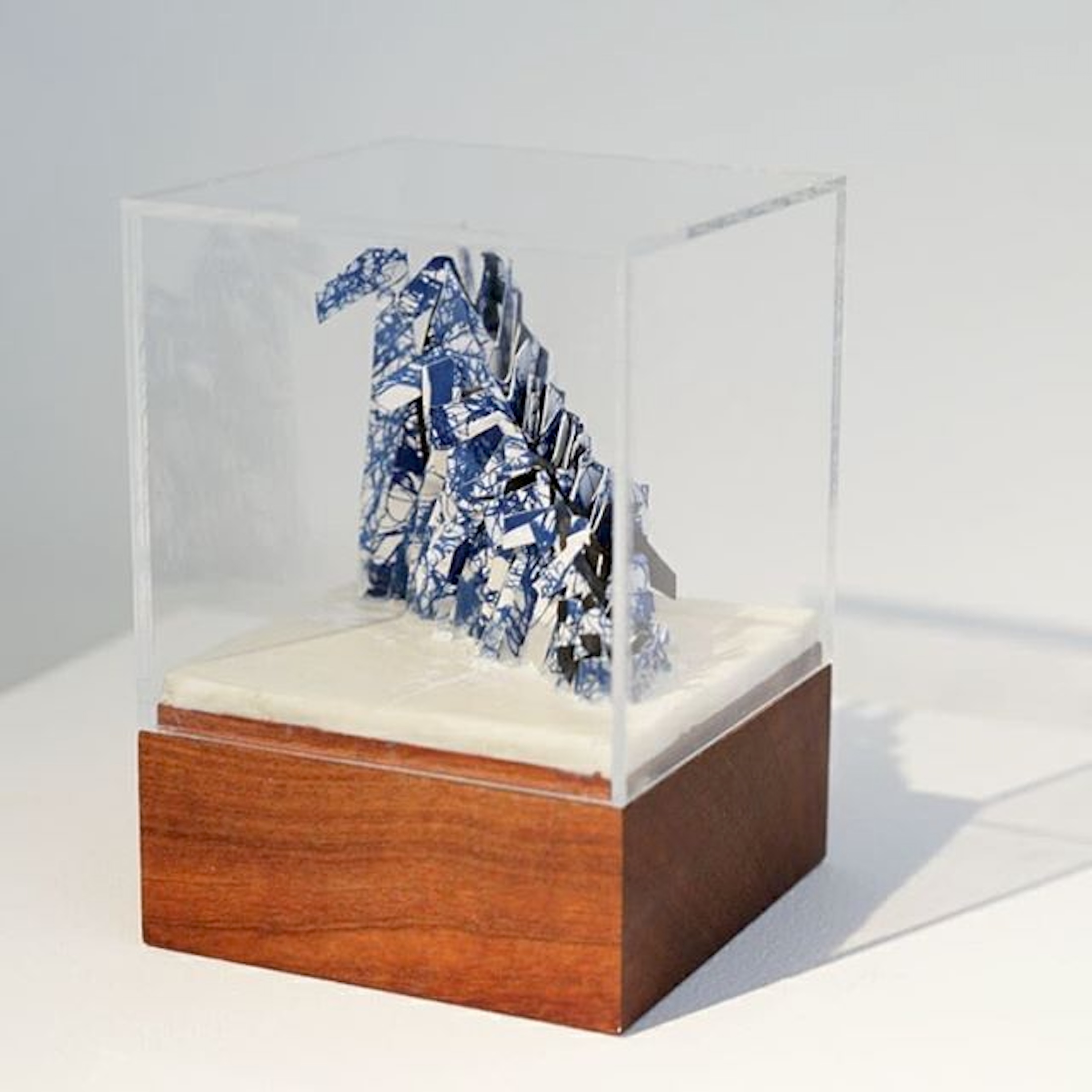 Re-Root exhibition by contemporary Sri Lankan artist Anushiya Sundaralingam at Crescent Arts Centre Belfast - photo 0009